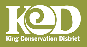 KingCD logo