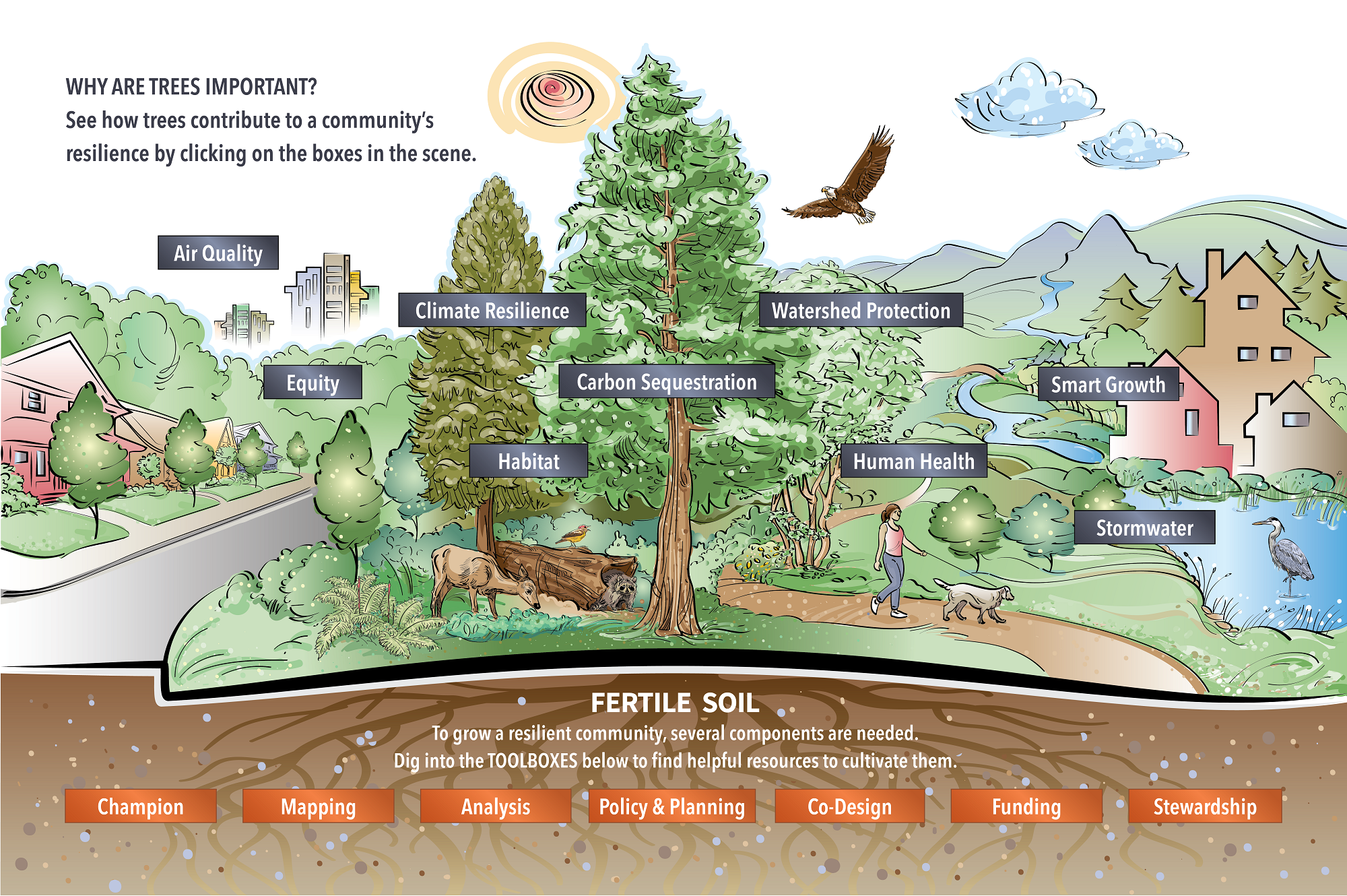 Forestry  U.S. Climate Resilience Toolkit