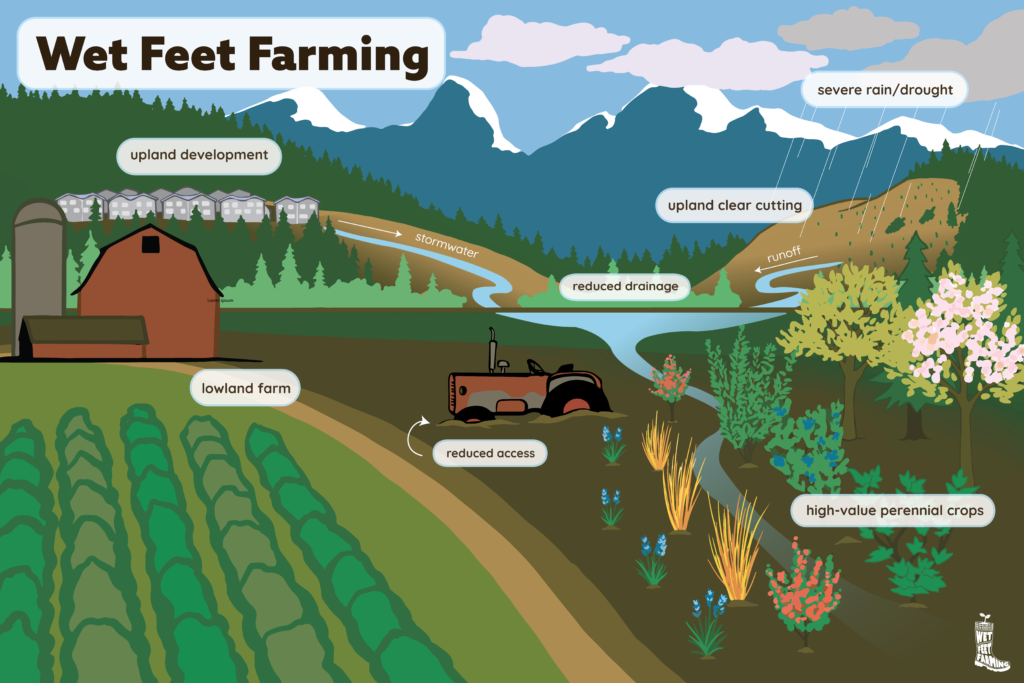 Wet Feet Farming illustration.