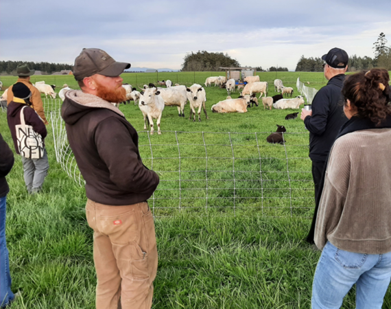 Bell's Farm owner and attendees gaze upon a pasture of cows.